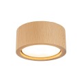 EVE WOOD BUK SPOT 10123 TK Lighting
