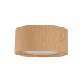 EVE WOOD BUK SPOT 10123 TK Lighting