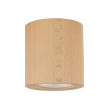 EVE WOOD BUK SPOT 10121 TK Lighting