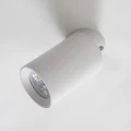 Lampa sufitowa reflektorek TORE biały, regulowany spot - TLS006-WH Zuma Line