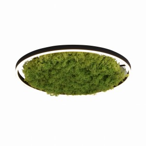Lampa sufitowa z mchem 58,5cm GREEN RITUS LeuchtenDirekt - 15392-66