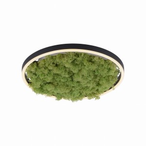 Lampa sufitowa z mchem 39,3cm GREEN RITUS LeuchtenDirekt - 15391-66