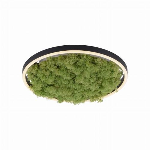 Lampa sufitowa z mchem 39,3cm GREEN RITUS LeuchtenDirekt - 15391-66