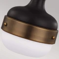 Mała lampa wisząca Cadence - 1 źródło światła - Ciemny antyczny mosiądz / Matowa czerń FE-CADENCE-1P-MB Elstead Lighting