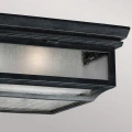 Plafon Shepherd - 2 źródła światła FE-SHEPHERD-F Elstead Lighting