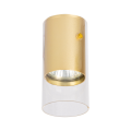 Oprawa Ricky Downlight Złoty 1xGU10 ML0688 Milagro