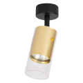 Oprawa Ricky Spot Złoty 1xGU10 ML0689 Milagro