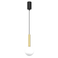 Lampa wisząca PLAY GOLD 1xG9 MLP0971 Milagro