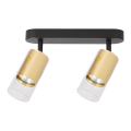 Oprawa Ricky Spot Złoty 2xGU10 ML0691 Milagro