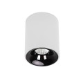Oprawa natynkowa Tom biała LED CCT LP-4848/1RM WH Light Prestige