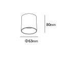 Oprawa natynkowa Tom biała LED CCT LP-4848/1RM WH Light Prestige