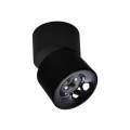 Ruchoma oprawa natynkowa Brema czarna LED CCT LP-2626/1RM BK movable Light Prestige