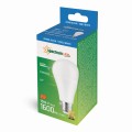 Żarówka LED E27 GLS230V 15W barwa zimna SPECTRUM