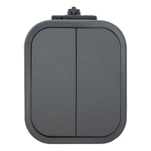 Włącznik świecznikowy podwójny natynkowy szary IP54 10A 250V