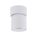 Reflektorek sufitowy TWIST biały na gwint GU10 z szklanym kloszem 10576 TK Lighting