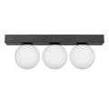 Lampa sufitowa podłużna czarna listwa z kloszami SPHERE 1204  Zuma Line