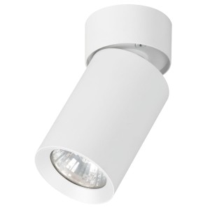 Lampa reflektorek sufitowy FLEX biały 1xGU10 59026 Alfa