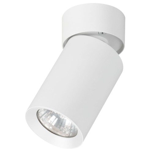 Lampa reflektorek sufitowy FLEX biały 1xGU10 59026 Alfa
