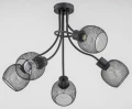 Lampa sufitowa PLENA DUO czarna 5xE27 25835 Alfa
