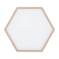 Plafon  LIBERO LED  soczysta brzoskwinia / reach peach 8782 Argon