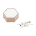 Plafon  LIBERO LED  soczysta brzoskwinia / reach peach 8782 Argon
