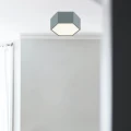 Plafon  LIBERO LED  ciemna szałwia / night sage 8784 Argon