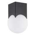 Plafon AUSTIN E14  opal mat 4713 Argon