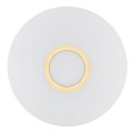 Plafon CHICAGO E27  opal mat 1030 Argon