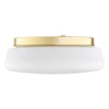 Plafon OMBRA E27  opal mat 6142 Argon