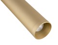 Kinkiet RIO LED  złoty  8326 Argon