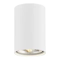 Plafon TUBO GU10  LED AR111   biały struktura 4910 BZ Argon