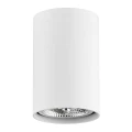 Plafon TUBO GU10  LED AR111   biały struktura 4910 BZ Argon