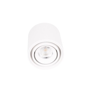 MAXLIGHT C0256 LAMPA SUFITOWA FIX 6W BIAŁA