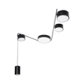 MAXLIGHT C0250 LAMPA SUFITOWA ZUMAIA II