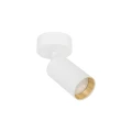 Lampa sufitowa AMIS biały GU10 10794 TK Lighting