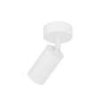 Lampa sufitowa AMIS biały GU10 10794 TK Lighting