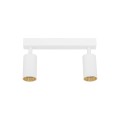 Lampa sufitowa AMIS biały 2xGU10 10795 TK Lighting