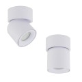 Reflektorek sufitowy TWIST biały na gwint GU10 z szklanym kloszem 10576 TK Lighting