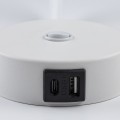LAGOS WHITE KINKIET 1 USB 10202 TK Lighting