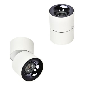 Ruchoma oprawa natynkowa Brema biała LED CCT LP-2626/1RM WH movable Light Prestige