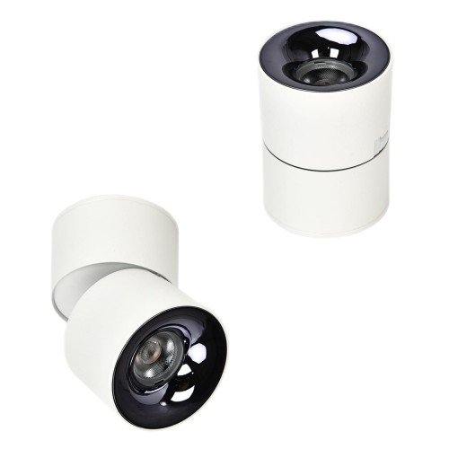 Ruchoma oprawa natynkowa Brema biała LED CCT LP-2626/1RM WH movable Light Prestige