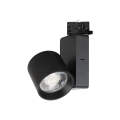 Reflektor Ojo 25W 2700/4000K Czarny 3 Obwodowy ML1107 Milagro