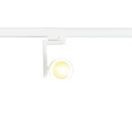 Reflektor Timor 30W 2700/4000K Biały 3 Obwodowy ML1116 Milagro