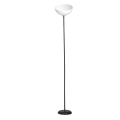 Lampa podłogowa ZACK Black 1xE27 ML1632 Milagro