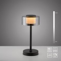 Lampa stołowa RIKA Paul Neuhaus 4111-18