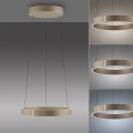 Lampa wisząca PURE E-CLIPSE Brązowy LED 2700-5000K 2560-97 Paul Neuhause