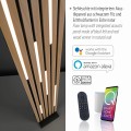 Lampa podłogowa Q-AKUSTIK Paul Neuhaus 822-79