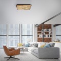 Lampa sufitowa Q-AKUSTIK Paul Neuhaus 6423-79