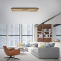 Lampa sufitowa Q-AKUSTIK Paul Neuhaus 6422-79