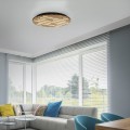 Lampa sufitowa Q-AKUSTIK Paul Neuhaus 6421-79